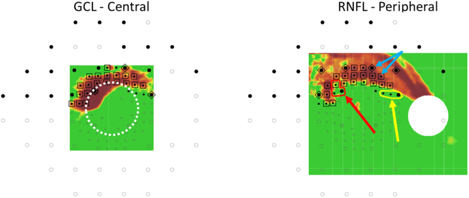Fig. 2: The combined structure-function probability map.
