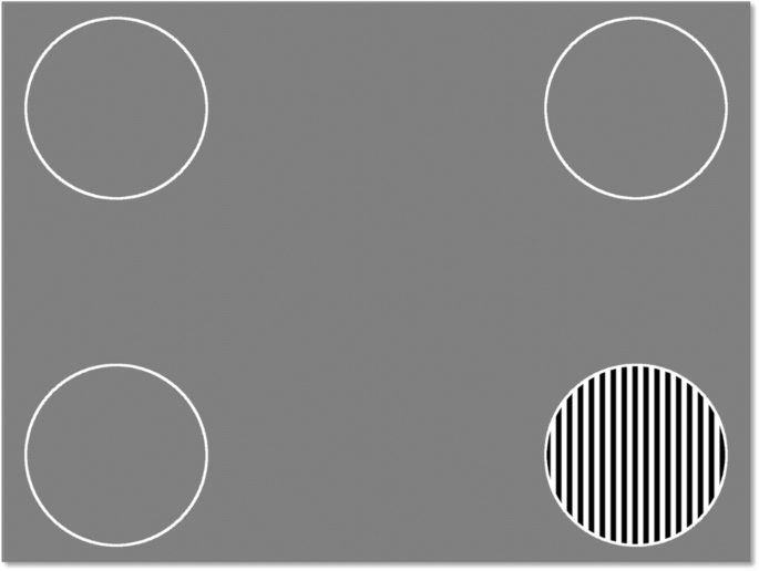 Fig. 4: The ‘Peekaboo’ app is an example of how technology for visual testing could be used to help treatment of visual loss.