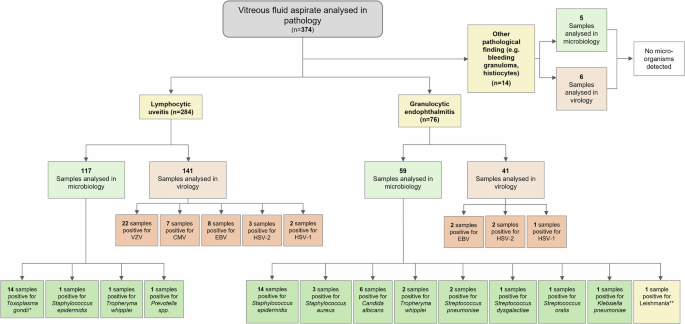 Fig. 1: Flow chart of the analysed non-neoplastic samples displaying respective diagnostic results.