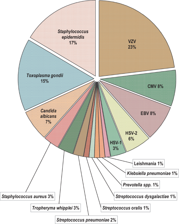 Fig. 2: Distribution of detected pathogens in the examined cohort displayed as percentage (total n = 91).