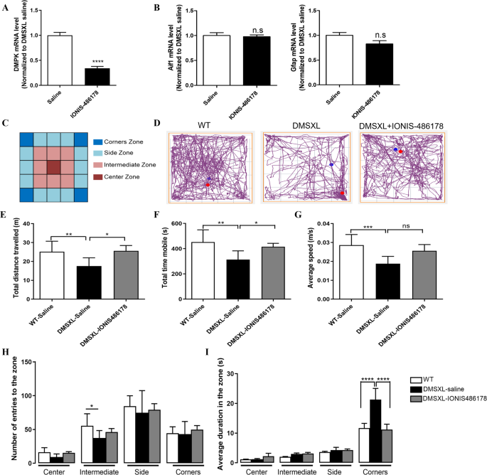 antisense-oligonucleotides-as-a-potential-treatment-for-brain-deficits-observed-in-myotonic-dystrophy-type-1-gene-therapy