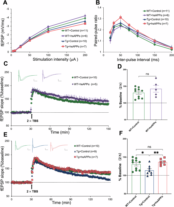 Fig. 2: Expression of hsAPPα completely restored hippocampal CA1 LTP in transgenic mice.
