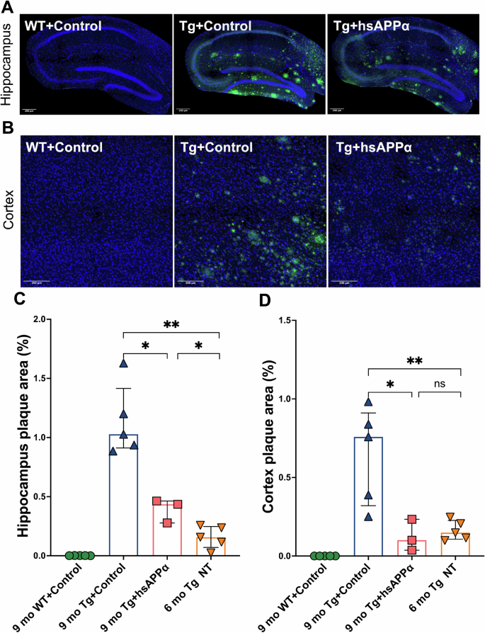 Fig. 3: Effect of hsAPPα expression on the development of amyloid pathology.