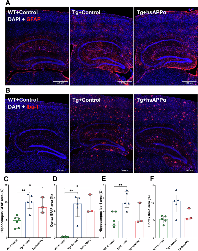 Fig. 5: Effect of sAPPα expression on markers of neuroinflammation.