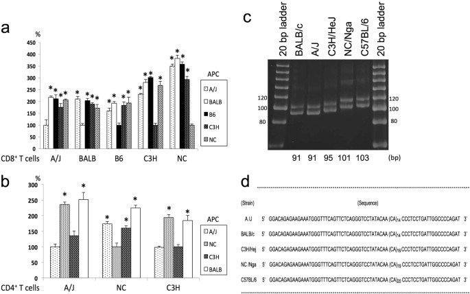 Low Expression Of A D Dm7 L Dm7 Hybrid Mutant D L Dm7 In The Novel Haplotype H 2 Nc Identified In Atopic Dermatitis Model Nc Nga Mice Genes Immunity