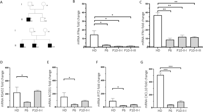 Fig. 2: Gene expression analysis in PBMC of patients carrying TLR7 variants stimulated with IMQ.