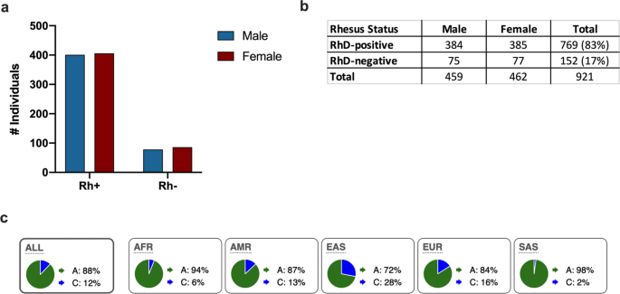 Fig. 2: Rhesus phenotype distribution of all individuals in the Milieu Interieur cohort.