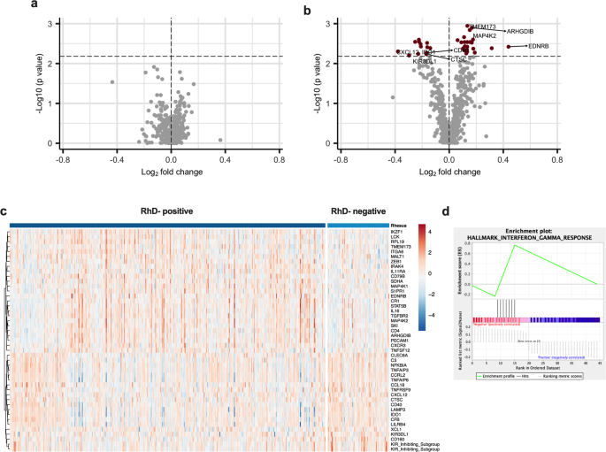 Fig. 4: Following influenza A virus stimulation, 45 genes were differentially expressed between RhD-positive and -negative males.