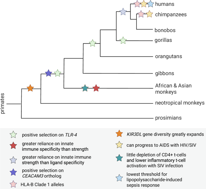 Fig. 4: Visual summary of major lines of evidence examined in this review.
