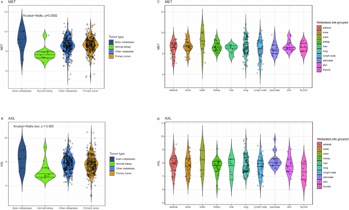 Fig. 3: cMET- and AXL-expression in brain metastases.