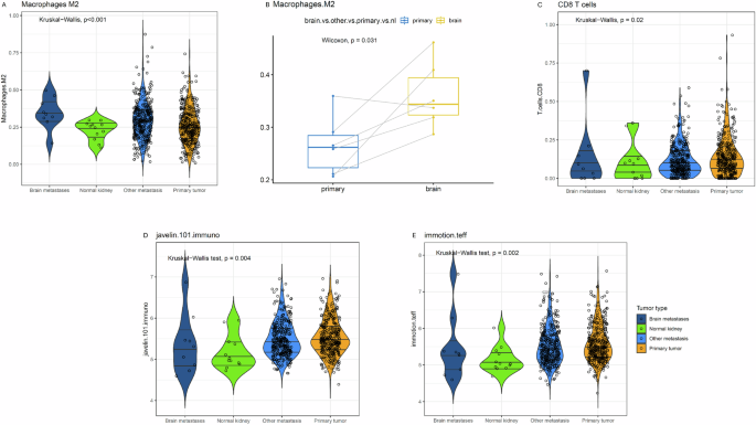 Fig. 5: Immune microenvironment of brain metastases.