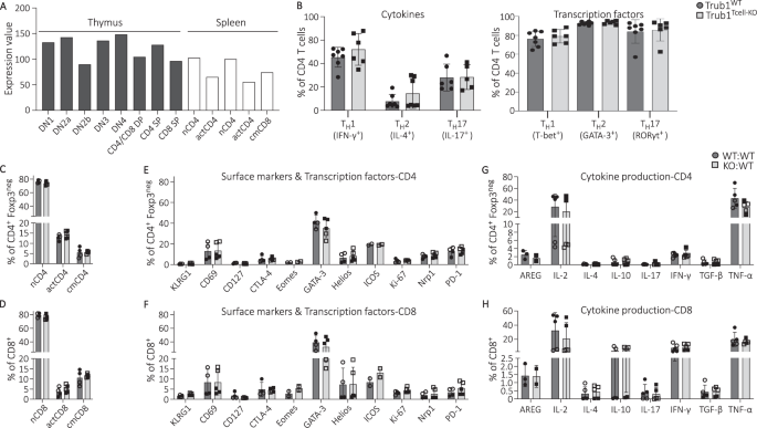 Fig. 2: Despite its constitutive and differential expression, Trub1 is dispensable for T cell development and homeostasis.