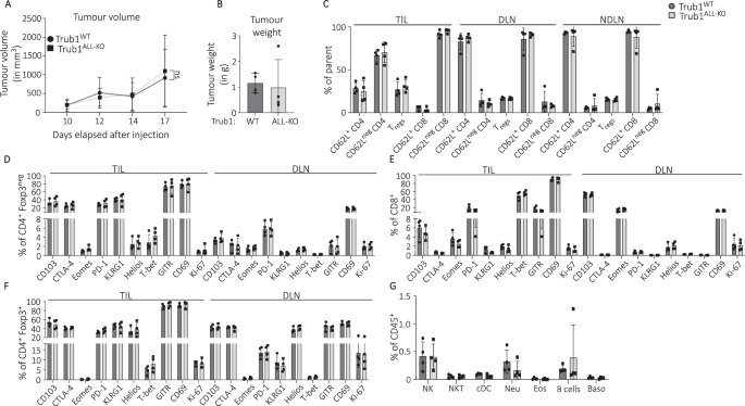 Fig. 5: Trub1 is dispensable for anti-tumour immune response in subcutaneous MC38 tumour model.