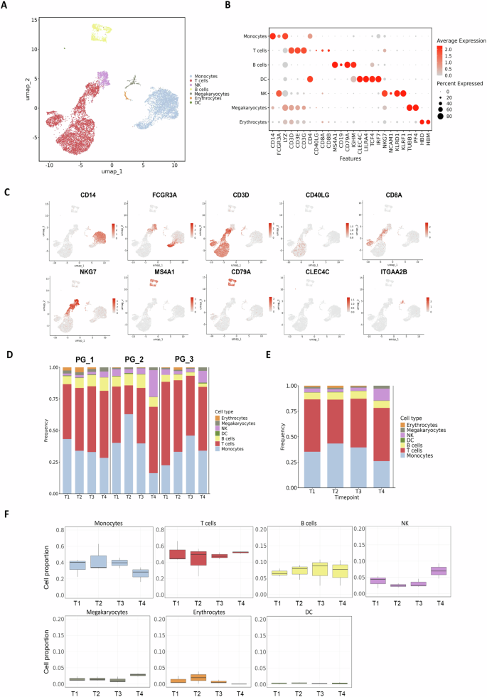 Fig. 2: Single-cell immune atlas and composition dynamics of PBMCs in pregnant individuals following COVID-19 vaccination.