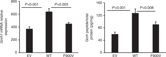 DLG2 variants in patients with pubertal disorders | Genetics in Medicine