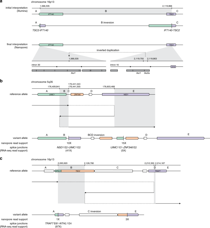 Improved structural variant interpretation for hereditary cancer susceptibility using long-read sequencing