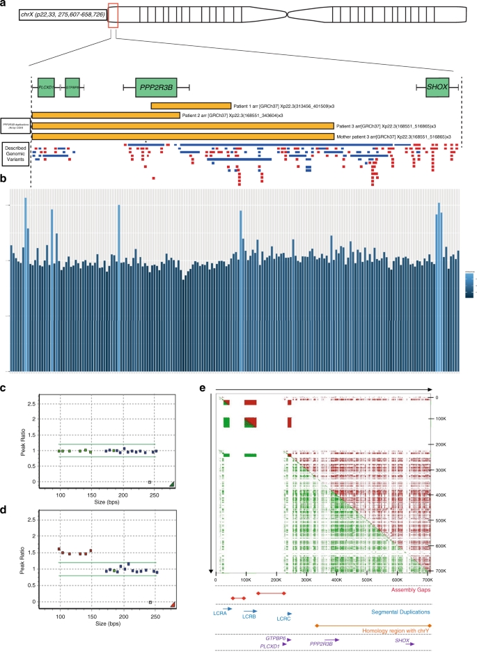 Fig. 1: Germline duplications involving PPP2R3B are found at increased frequency in individuals with melanocytic neoplasia.