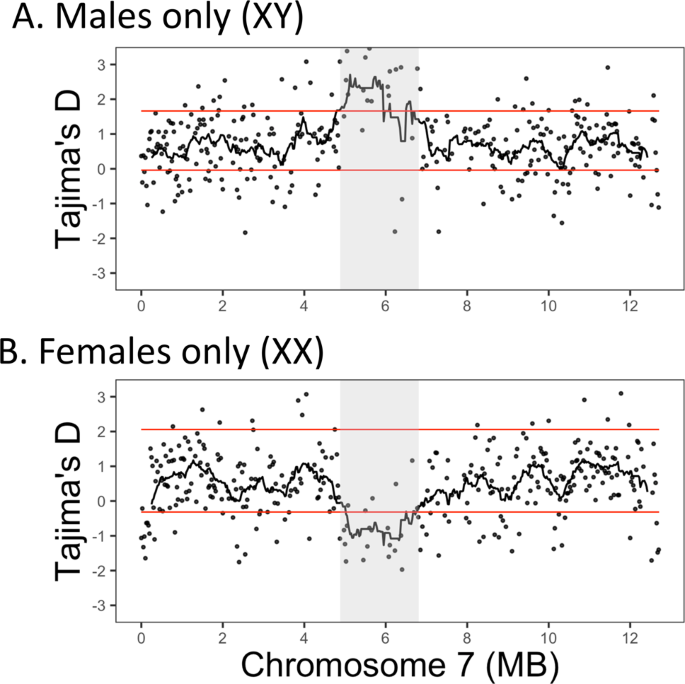 Sex Determination Through X Y Heterogamety In Salix Nigra Heredity