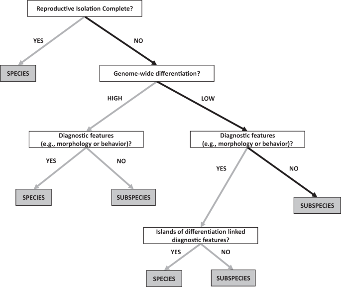 Recent Introgression Between Taiga Bean Goose And Tundra Bean Goose Results In A Largely Homogeneous Landscape Of Genetic Differentiation Heredity