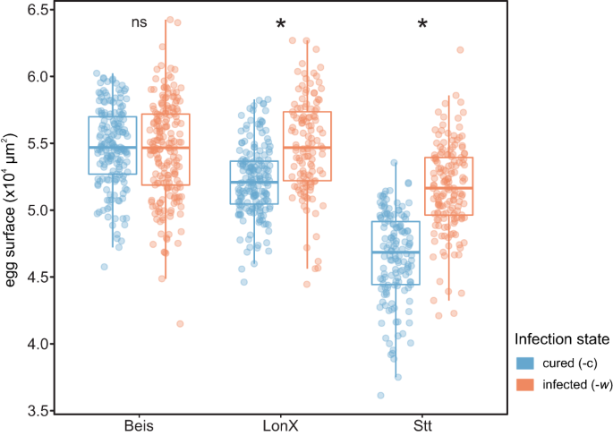 Fig. 4: Wolbachia distort sex allocation in Tetranychus mites by regulating egg provisioning.