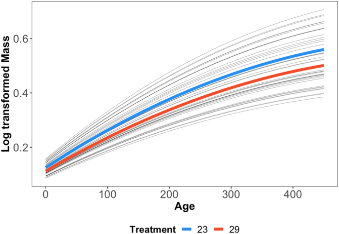Fig. 3: Model predictions of log-transformed mass over age from the two developmental temperatures.