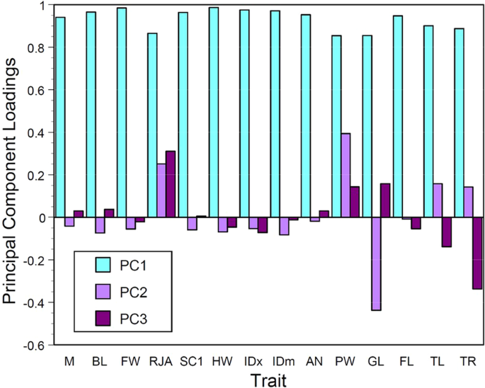 Fig. 2: Principle component analysis reveals new morphological variables.
