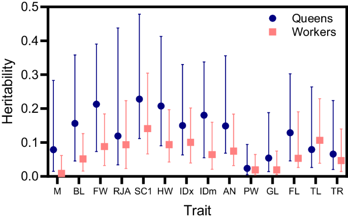 Fig. 4: Heritability for 14 morphological traits in queen and worker V. maculifrons.