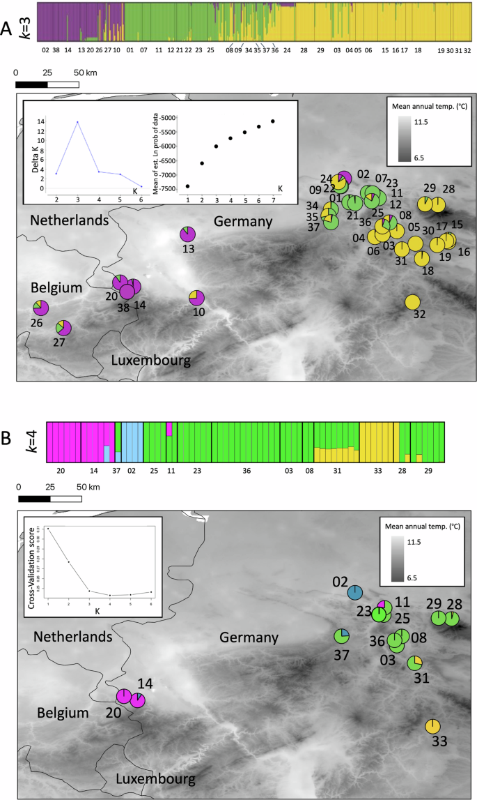 Fig. 2: Population structure of Alytes obstetricans.