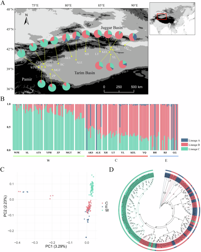 Population genetic diversity and environmental adaptation of 