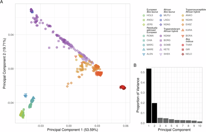 Fig. 2: Genetic diversity of Bos taurus, B. indicus, and hybrid B. taurus × B. indicus cattle.