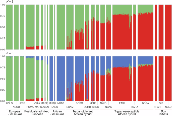 Fig. 3: Hierarchical clustering of the high-density SNP data.