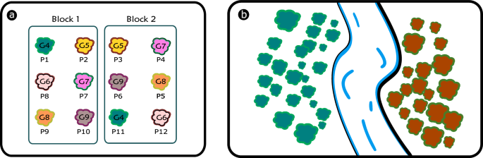 Fig. 1: Details about genetic competition models implemented in gencomp.