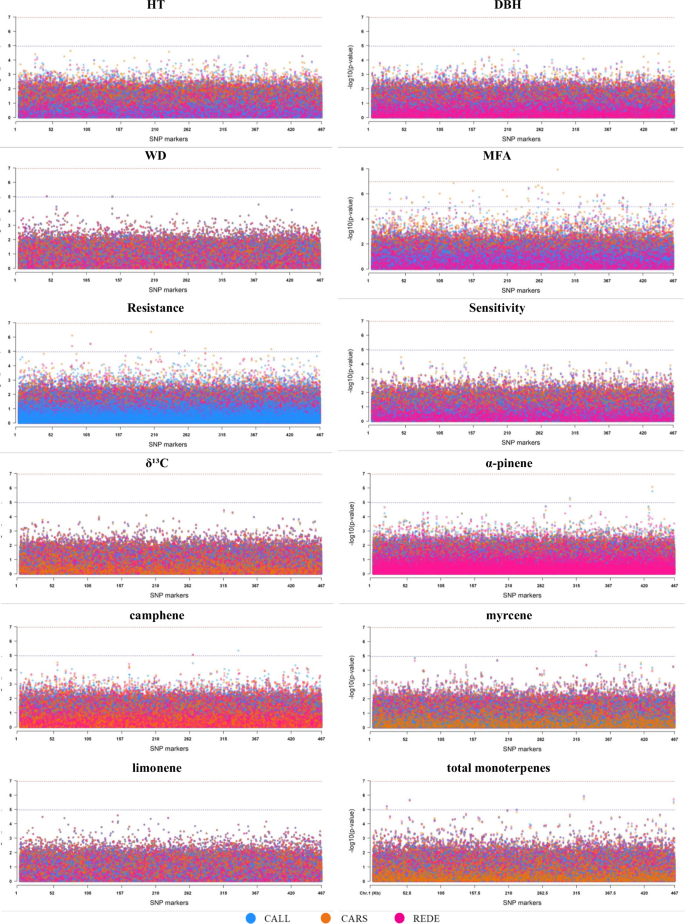 Fig. 1: Manhattan plots for the multi-environment genome-wide association (GWAS) analyses for each of the 12 traits studied across the three sites (CALL, CARS, and REDE) in the white spruce population.