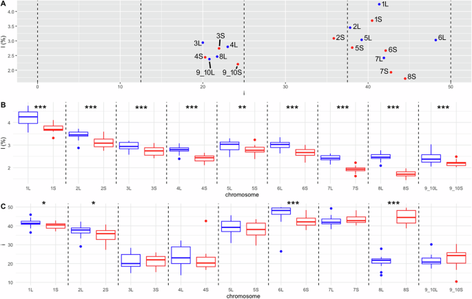 Fig. 1: Analysis of measurements and statistics of the length of short and long arms of X. pygmaeus chromosomes.