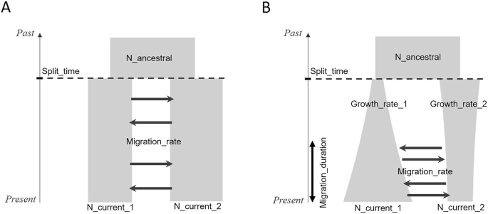 Fig. 1: Demographic models with the varying demographic parameters.