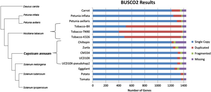Fig. 5: BUSCO2 conserved gene analysis comparison.
