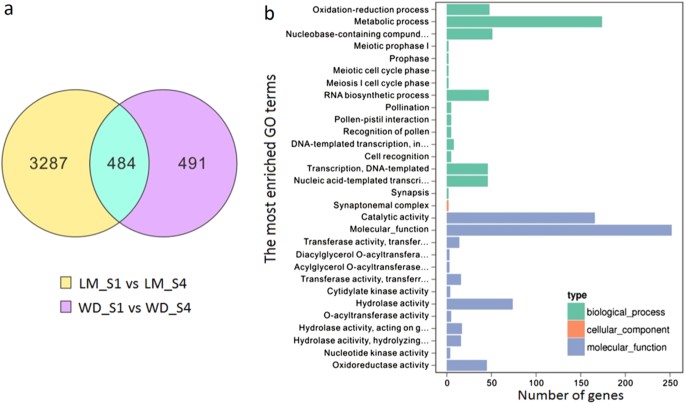 Fig. 5: Identification of candidate transcription factors regulating BIA accumulation in lotus.