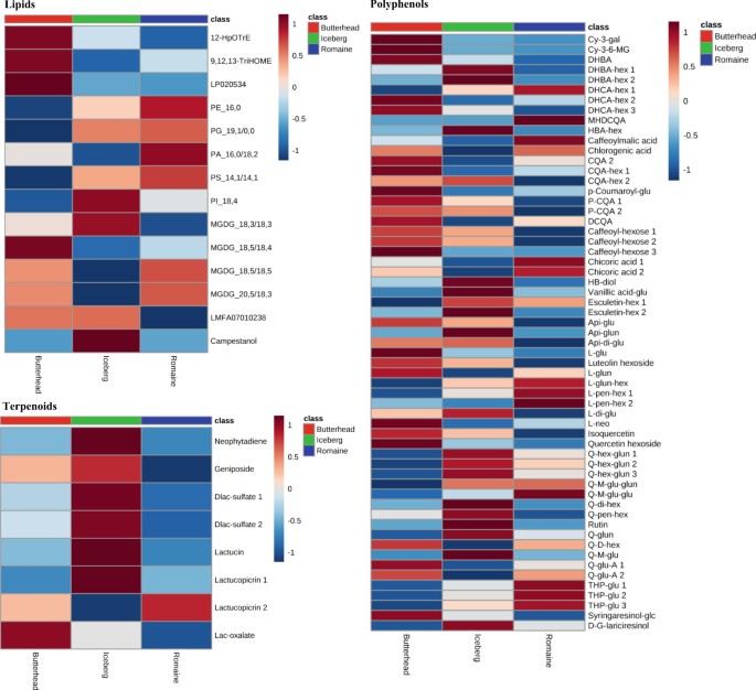 Fig. 4: Heatmaps of the relative content of lipids, terpenoids, and polyphenols in head lettuces.