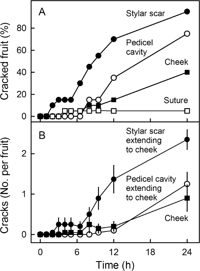 Localized Bursting Of Mesocarp Cells Triggers Catastrophic Fruit Cracking Horticulture Research