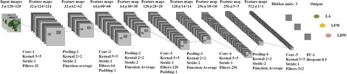 literature review on lettuce pdf figure 3