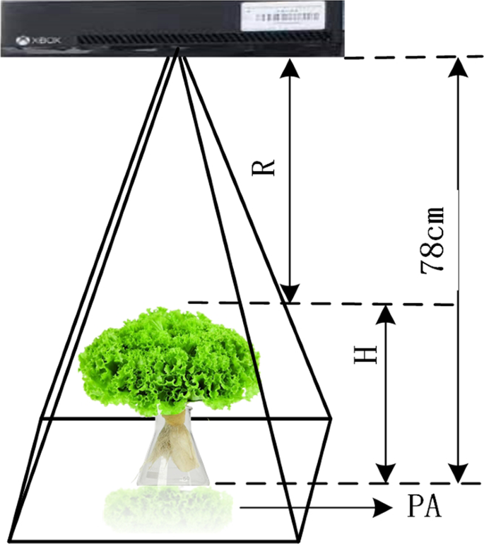 literature review on lettuce pdf figure 6