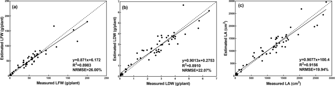 literature review on lettuce pdf figure 7