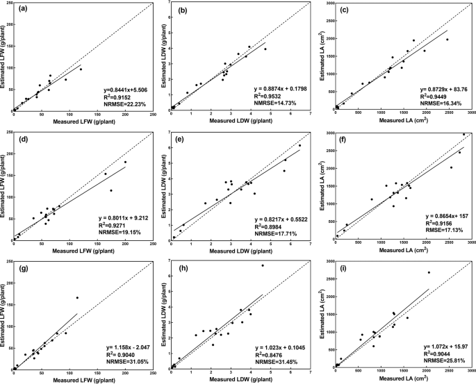 literature review on lettuce pdf figure 8