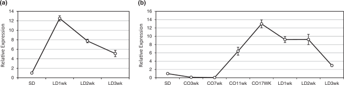 Fig. 3: Expression profiles of miR396c under SD-LD, and SD-cold-LD conditions.