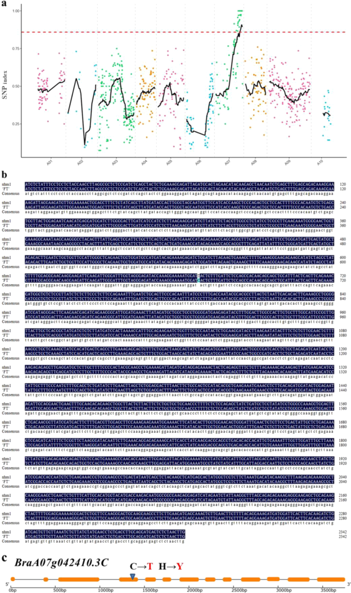 Fig. 5: Identification of the nhm1 candidate gene.