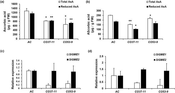 Fig. 6: Ascorbic acid levels and SlGME expression in SlNFYA10 transgenic tomato lines.