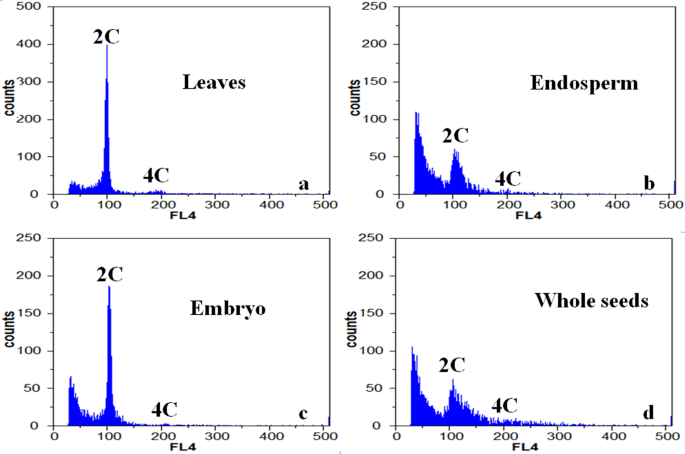 Fig. 2: Distribution of DNA contents in different tissues of Zanthoxylum bungeanum.