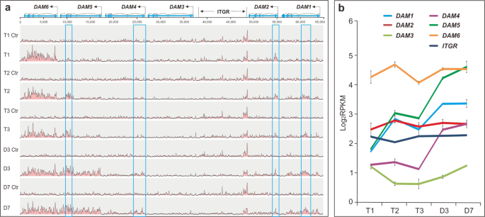 Fig. 4: H3K27me3 in DAMs.