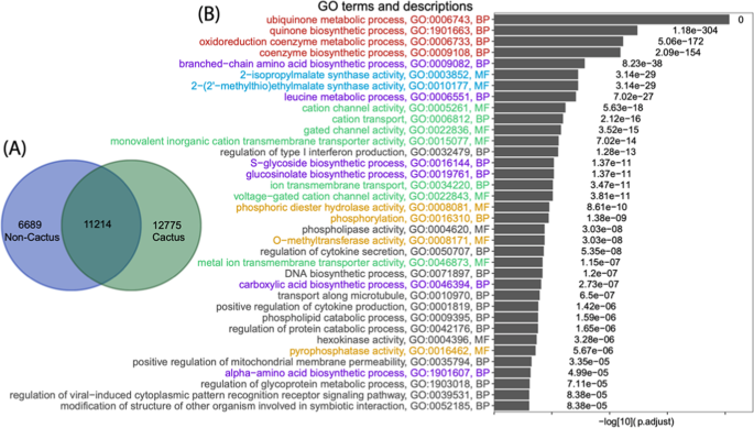 research paper on dragon fruit figure 4