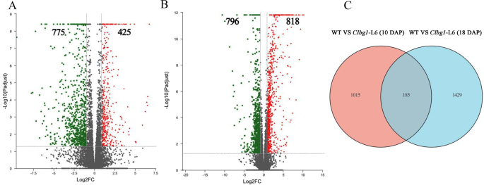 Fig. 4: DEGs analysis 10 and 18 DAP.